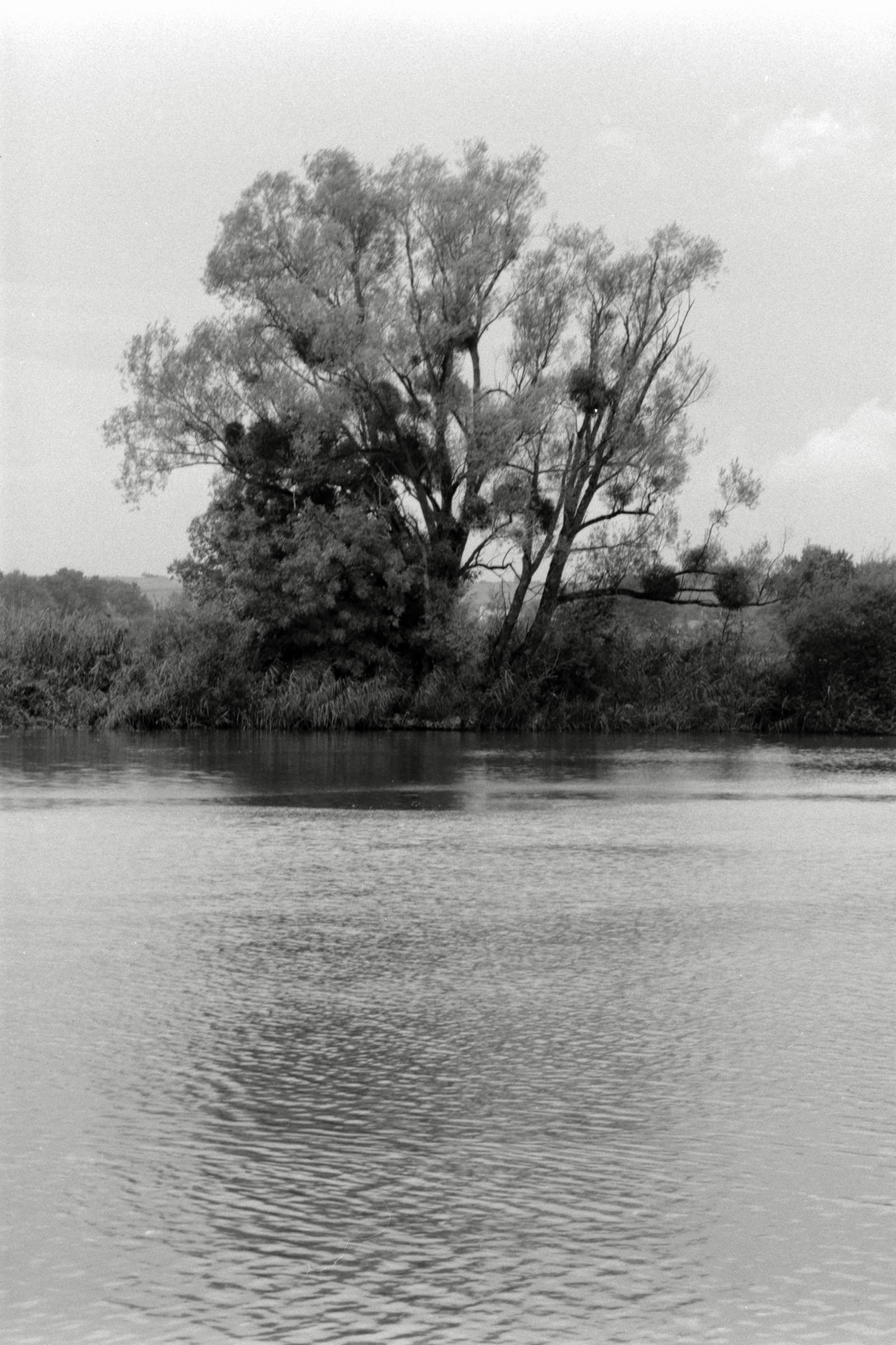 AHP F1990 09 005 sc250506 img01 NLP